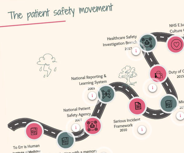 Systems Approach to Investigating and Learning from Patient Safety Incidents