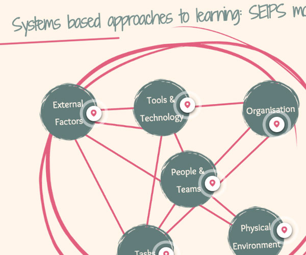 Systems Approach to Investigating and Learning from Patient Safety Incidents