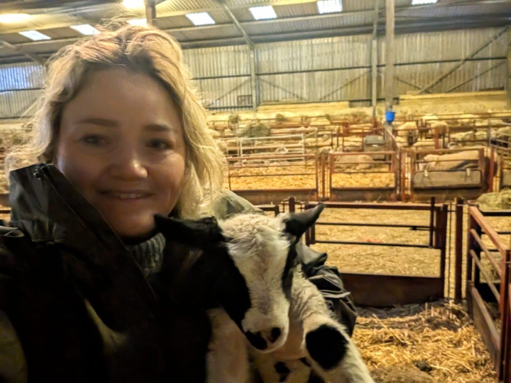 Lambing Factors – Easter Insights
